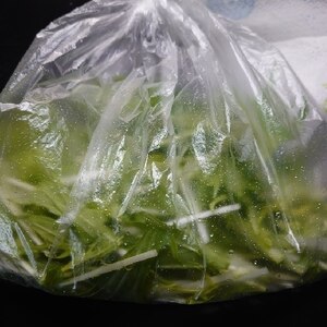 水菜の冷蔵保存、冷凍保存✧˖°